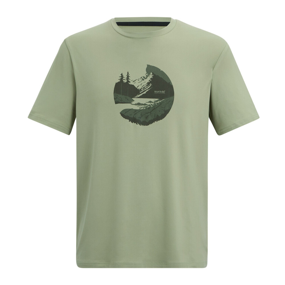Regatta (4Xl, Light Sage) Mens Fingal Sunset Stretch T-Shirt