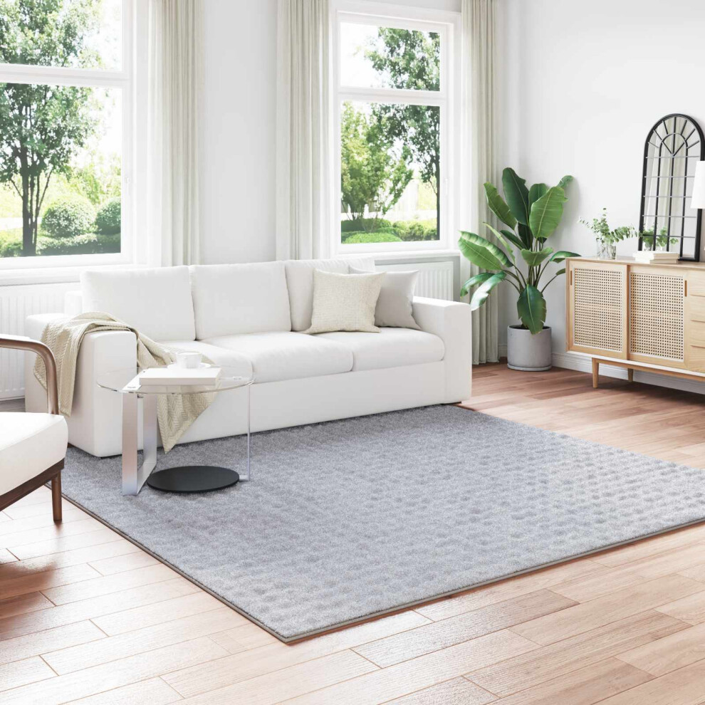 Vidaxl Area Rugs Square Sirolo Grey 240 X 240 Cm Polyester