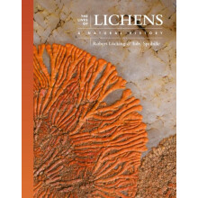Lives of Lichens by Toby Assistant Professor Canada Research Chair Spr
