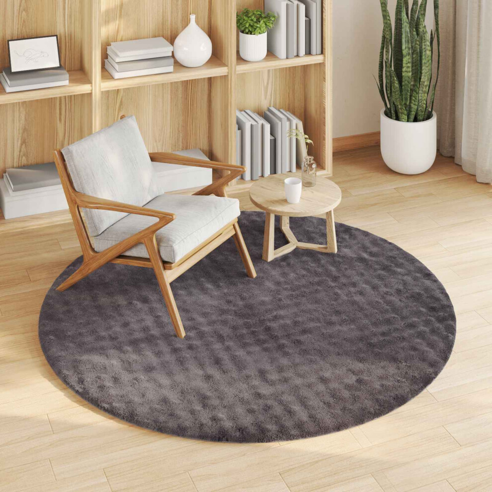 Vidaxl Area Rugs Round Sirolo Anthracite Ø 200 Cm Polyester