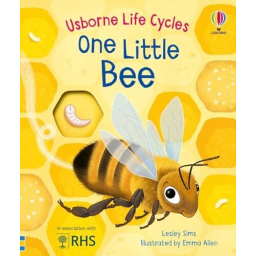One Little Bee Paperback Book