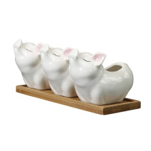 Decoratieve Succulenten Potten Set Ingepotte Tafeldecor