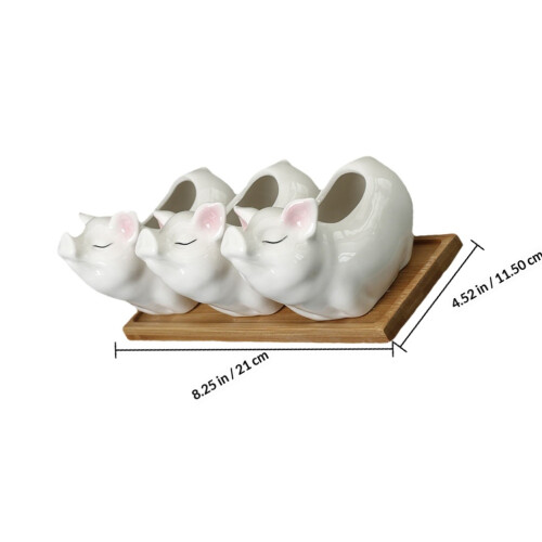 Decoratieve Succulenten Potten Set Ingepotte Tafeldecor 1