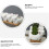 Decoratieve Succulenten Potten Set Ingepotte Tafeldecor 5