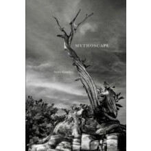 Mythoscape A Different World by Azita Gandjei Hardcover Book