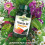 Natures Aid Natures Aid Vitamin D3 1000iu - High Strength 25ug Supplement Support 5