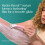 Wilkinson Sword Wilkinson Sword Intuition Complete Care Bikini Trimmer for Women, 3