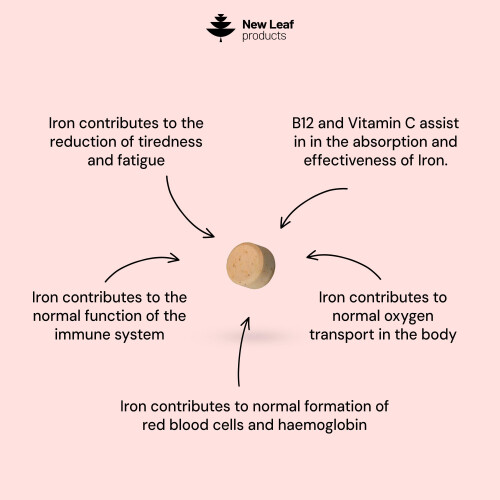Gentle Iron Tablets Complex -Enriched with B12 & Vitamin C - Iron 1