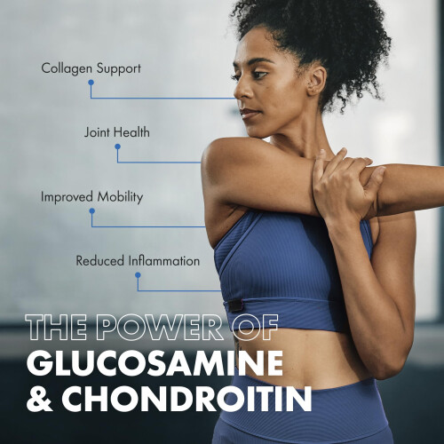Glucosamine and Chondroitin High Strength Complex with MSM, Vitamin 2