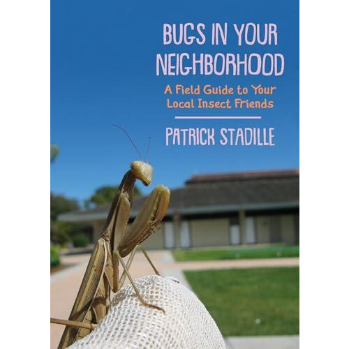 Bugs in Your Neighborhood by Patrick Stadille Paperback Book