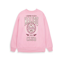 (Small) Barbie Sweatshirt (Womens Pink)