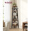 VASAGLE VASAGLE Corner Bookcase 5 Tier Shelf Ladder Shelf Storage Unit Plant 2