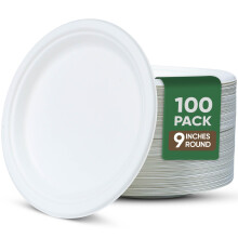 TaidMiao 9 Inch Paper Plates 100 Pack - 100% Compostable Dinnerware