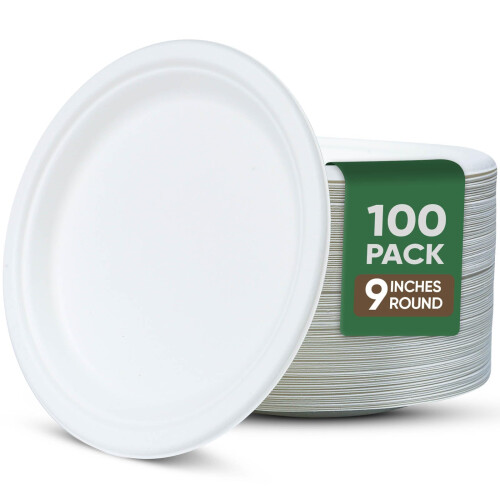 TaidMiao 9 Inch Paper Plates 100 Pack - 100% Compostable Dinnerware