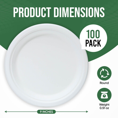 TaidMiao 9 Inch Paper Plates 100 Pack - 100% Compostable Dinnerware 1