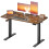 VASAGLE VASAGLE Electric Standing Desk - Height Adjustable Desk 1
