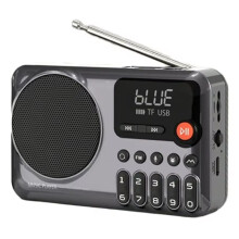Radio FM Portable, Radio Numérique, Récepteur Sans Fil Hi-Fi, Haut-Parleur , Compatible avec Casque Filaire, Carte TF, USB, Arrêt Programmé