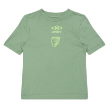 (11-12 Years, Sage Green) Umbro Childrens/Kids Castore AFC Bournemouth Logo T-Shirt