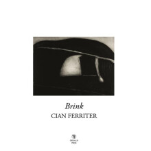 Brink by Cian Ferriter Paperback Book