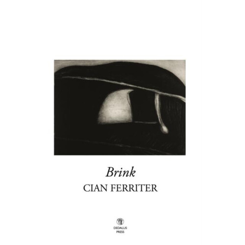 Brink by Cian Ferriter Paperback Book