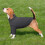 Pullover für den Hund Outfit Strick Warm Bequem Weich Grau 2XL — pullover für hunde, design pullover, pullover 2xl, grauer strick rollkragen 6