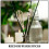 48St Rattan Diffuser Sticks Voor Huisaroma Beige Geurstof 4