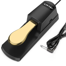 Sustain Pedal for Keyboard, Gold Piano Foot Pedal Keyboard Pedal with Polarity Switch for All Brands Electronic Keyboards, MIDI Keyboards, Digital Pi