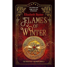 Flames of Winter by Elizabeth Baxter Paperback Book