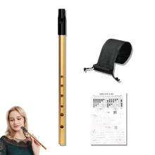 Tin Whistle,Penny Whistles,Irish Tin Whistle D,Premium Six-Hole Penny Slide Whistles,for Beginners Intermediate and Expert Band Performances(Gold)