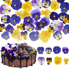 Celblisora 40 Pieces 8 Types of Naturally Dried, Pressed, Edible Flowers for Cak