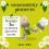 Clipper Everyday One Cup Tea | Natural, Unbleached, Plant Based 2
