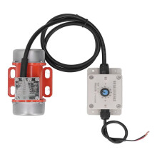 2X 30W Betontriller, 4000RPM Elektrische Vibrerende Motor met Snelheidsregelaar en Instelbare Opwindende Kracht 24V