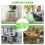 BODFPPC 50 Pack Biodegradable Bin Bags 50l, Compostable Food Waste 6
