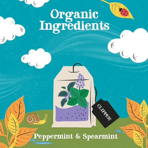 Clipper Organic Peppermint & Spearmint Infusions Fruit Teabags / 80 2