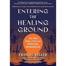Entering the Healing Ground by Bevin Donahue Paperback Book