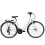 Dawes Hybird Venture 2.0 Lowstep Medium 1