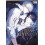 Eternal Covenant Volume 3 by Haejin Paperback Book 1