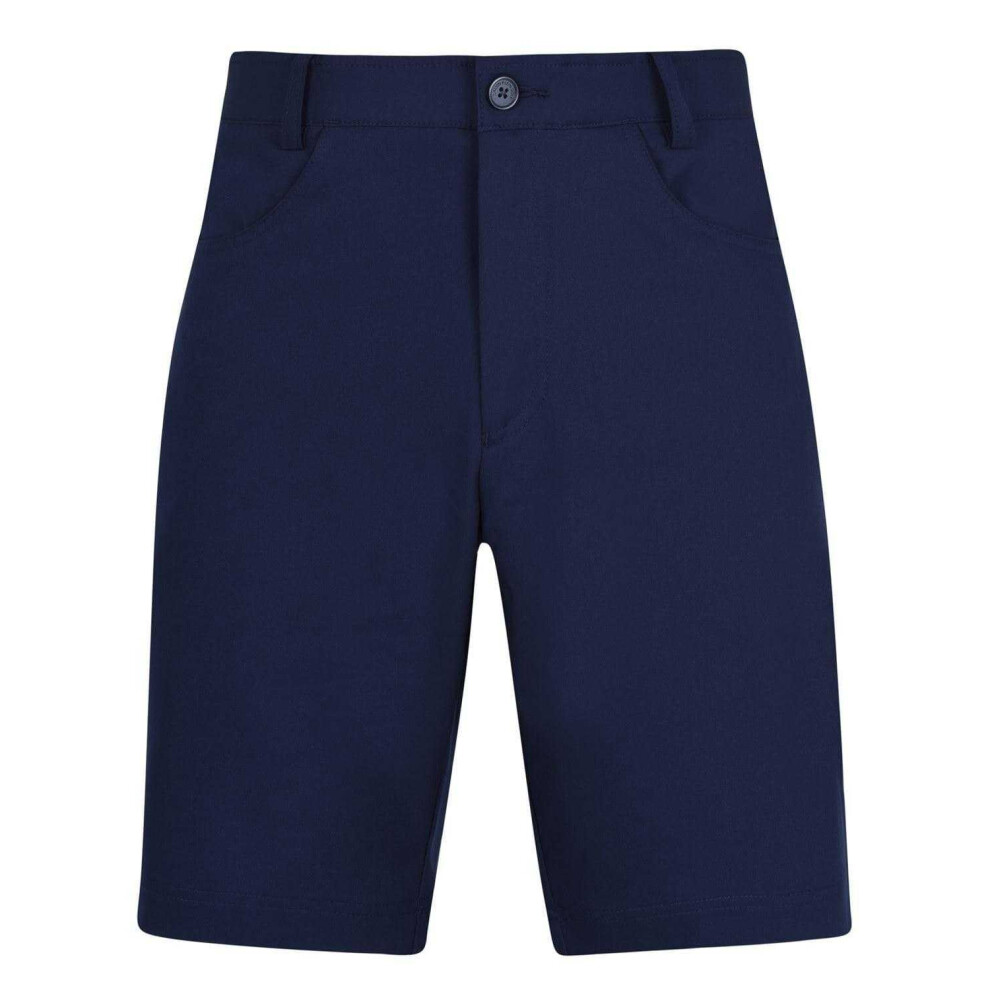 Calvin Klein (34R, Navy) Mens Clinton Golf Shorts