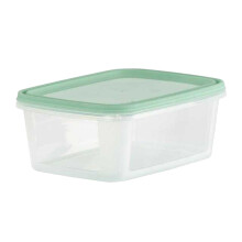 (5cm x 13cm, Green) Wham Everyday Food Storage Box (Pack of 5)