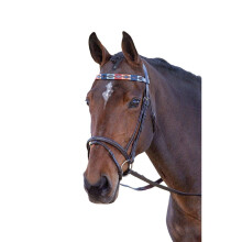 (X Full, Turquoise/Red/Orange/Blue) Blenheim Leather Polo Horse Browband