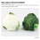2Pièces Broccoli Faux Décoratif Vert Pour Restaurant Maison 4
