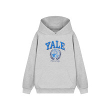 (XXX-Large) Yale Hoodie (Unisex Grey)