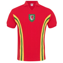 Wales Official Football Mens Retro 1976 John Toshack No.10 Shirt Medium