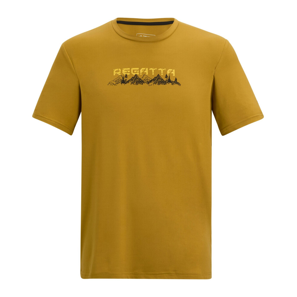 Regatta (4Xl, Wood Brown) Mens Fingal Mountain T-Shirt