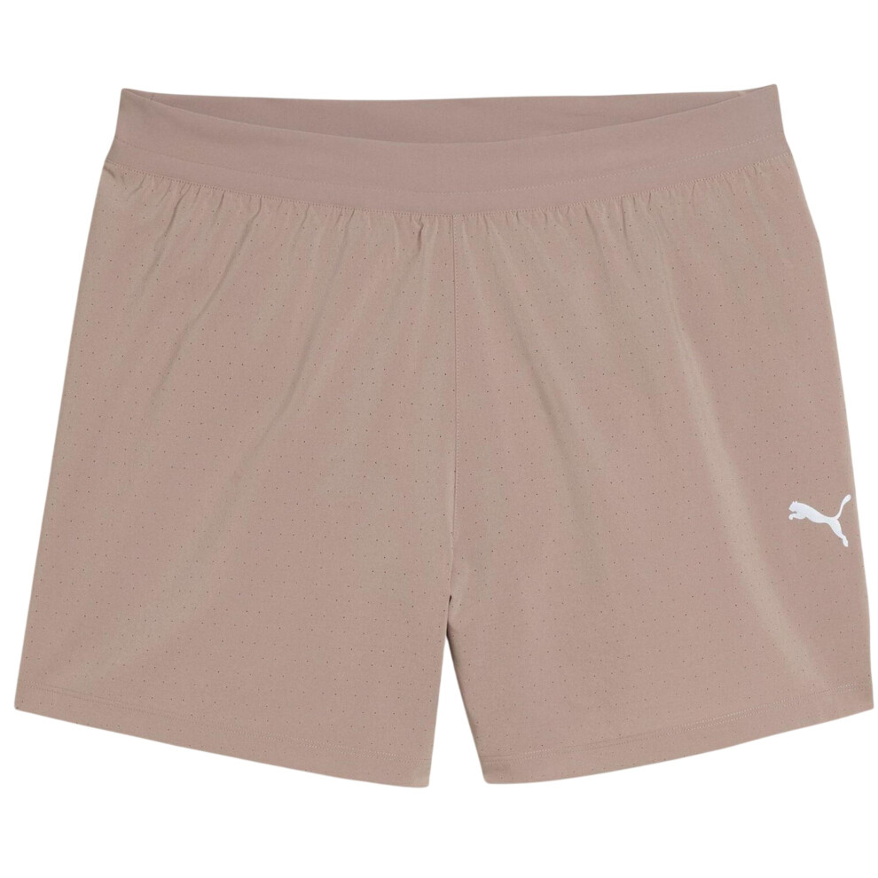 Puma (L S, Sandstone) Mens Drycell Athletic Running Shorts