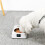 Infrared Sensor Cat Feeder Automatic Cat Feeder Battery Powered Safe Multifunction Easy to Clean Removable Bowl for Cats 2