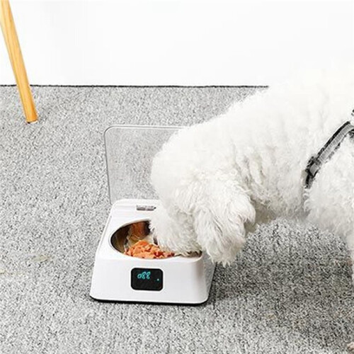 Infrared Sensor Cat Feeder Automatic Cat Feeder Battery Powered Safe Multifunction Easy to Clean Removable Bowl for Cats 1