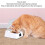 Infrared Sensor Cat Feeder Automatic Cat Feeder Battery Powered Safe Multifunction Easy to Clean Removable Bowl for Cats 4