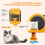 Automatic Cat Toy Interactive Electric Adjustable Cat Toy with Indoor  Cat Toy B 2