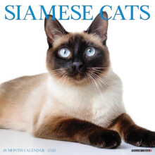 Siamese Cats 2026 Wall Calendar by Willow Creek Press Other Book